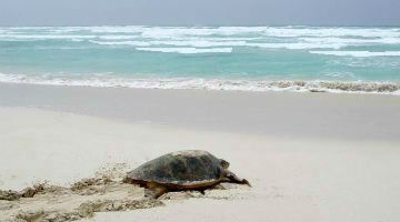 Highlights Cape Verde