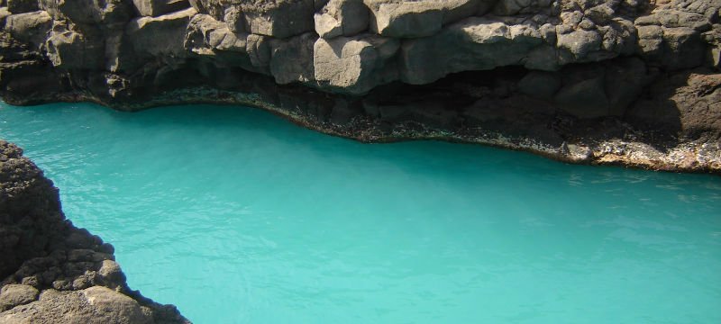 Natural swimming pool