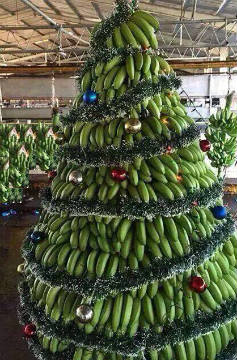 Christmas tree in Cape Verde