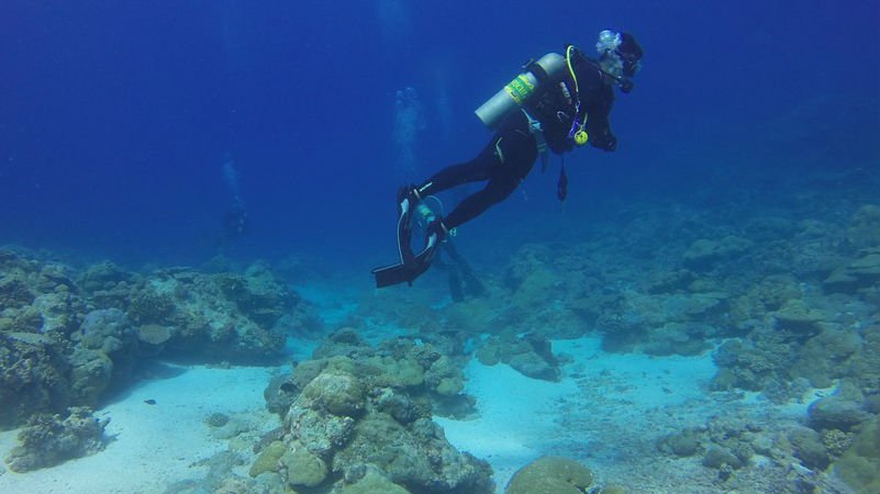 Diving Cape Verde islands