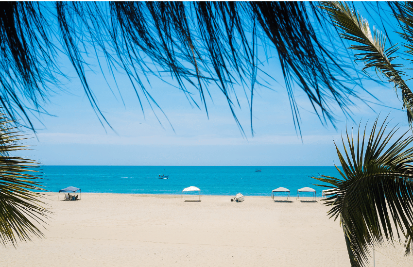 Beach Santa Maria - Sal